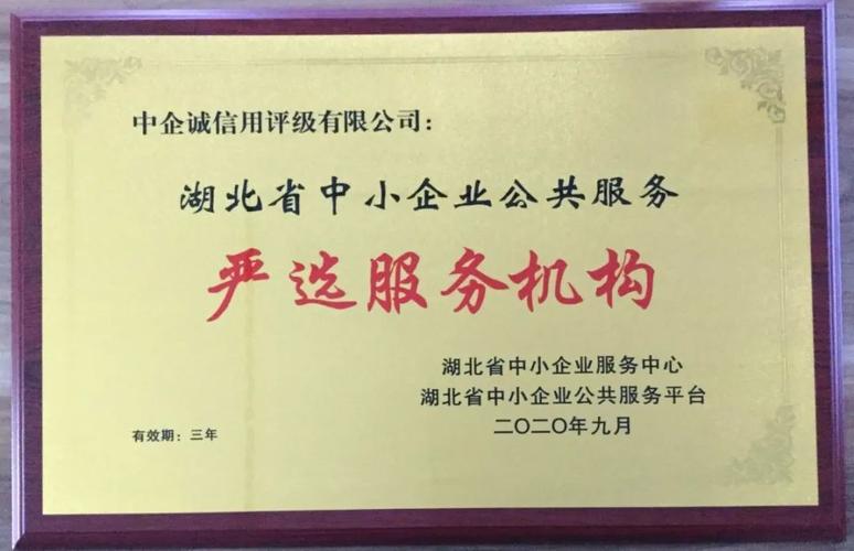 中企诚信用评级入选湖北省中小企业公共服务严选机构